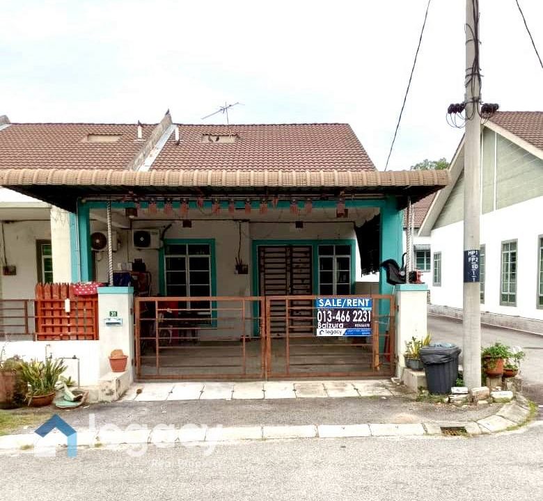 photo_1_2026-02-11_21-44-07