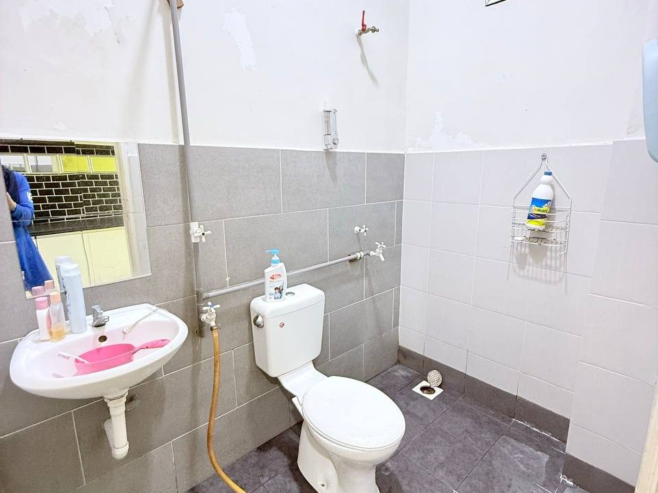 photo_25_2026-02-11_21-44-07