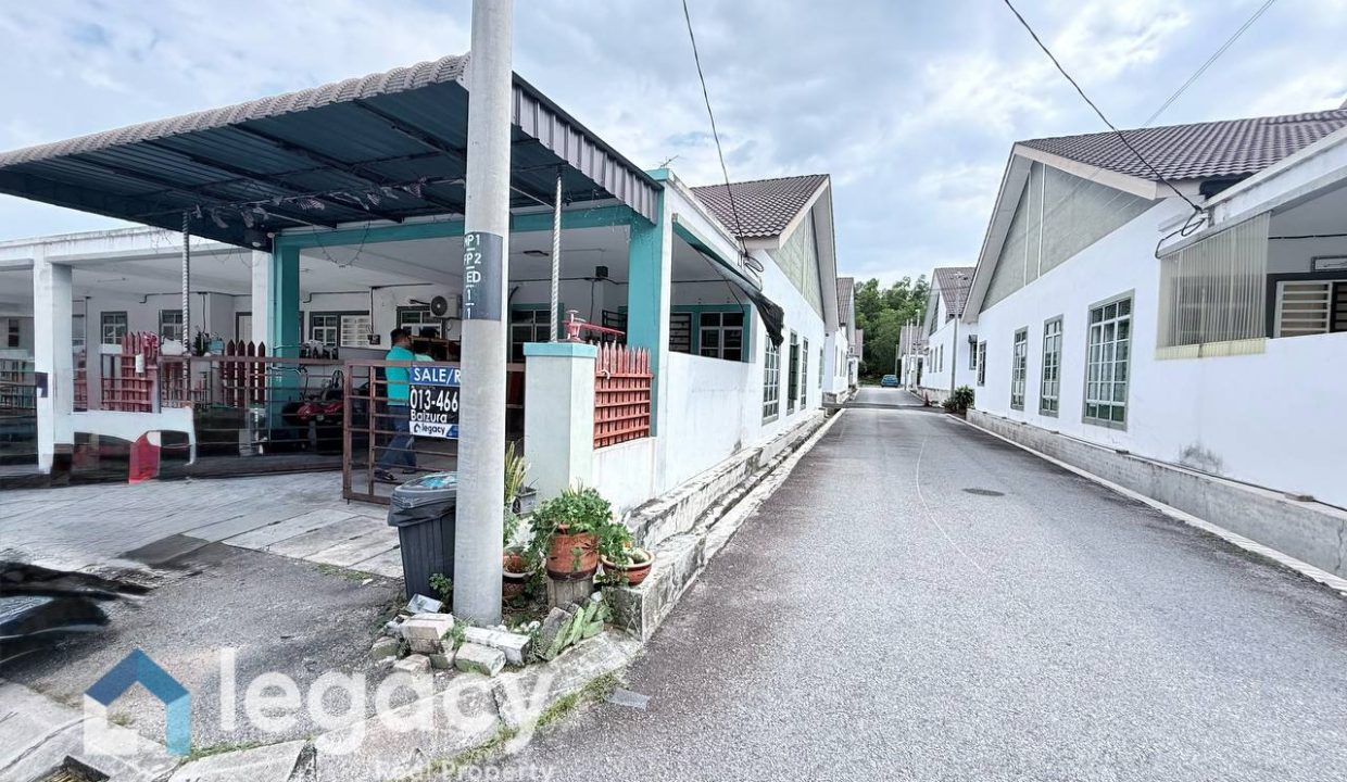 photo_2_2026-02-11_21-44-07