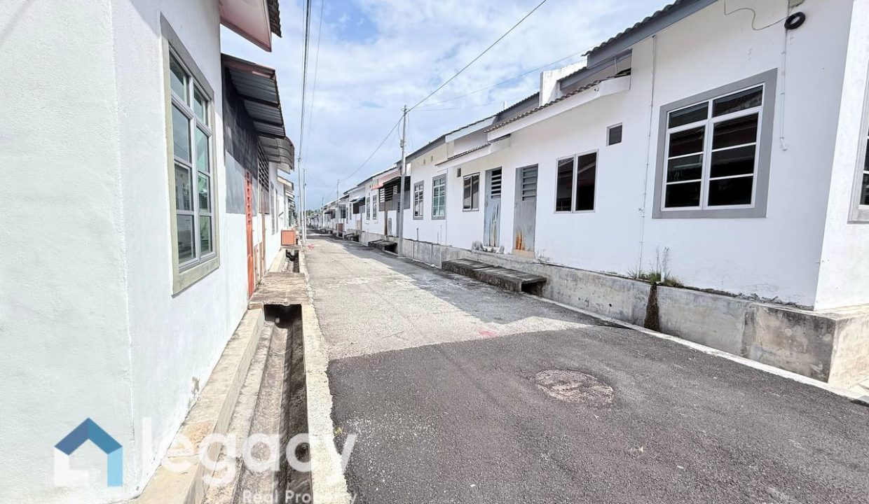 photo_3_2026-02-11_21-44-07