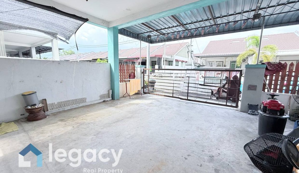 photo_9_2026-02-11_21-44-07