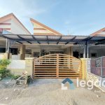 puncak bougainvillea for sale