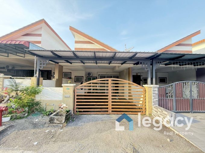 puncak bougainvillea for sale