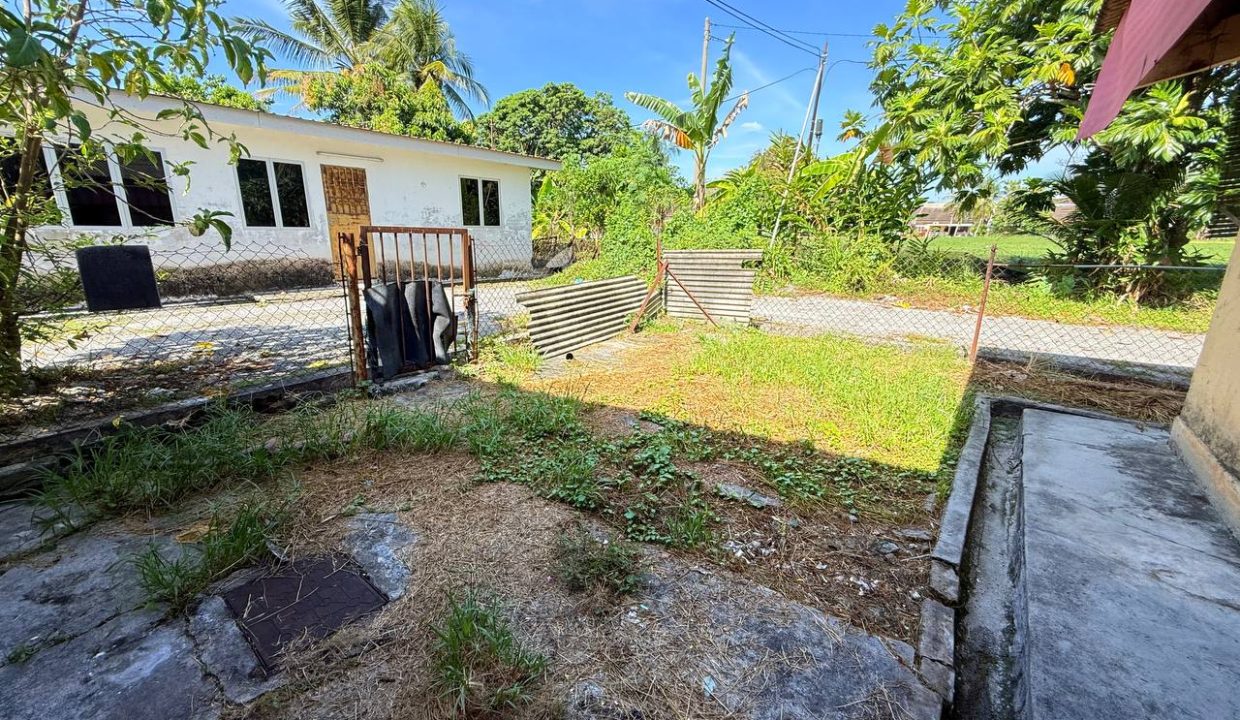 photo_10_2026-04-03_08-59-13